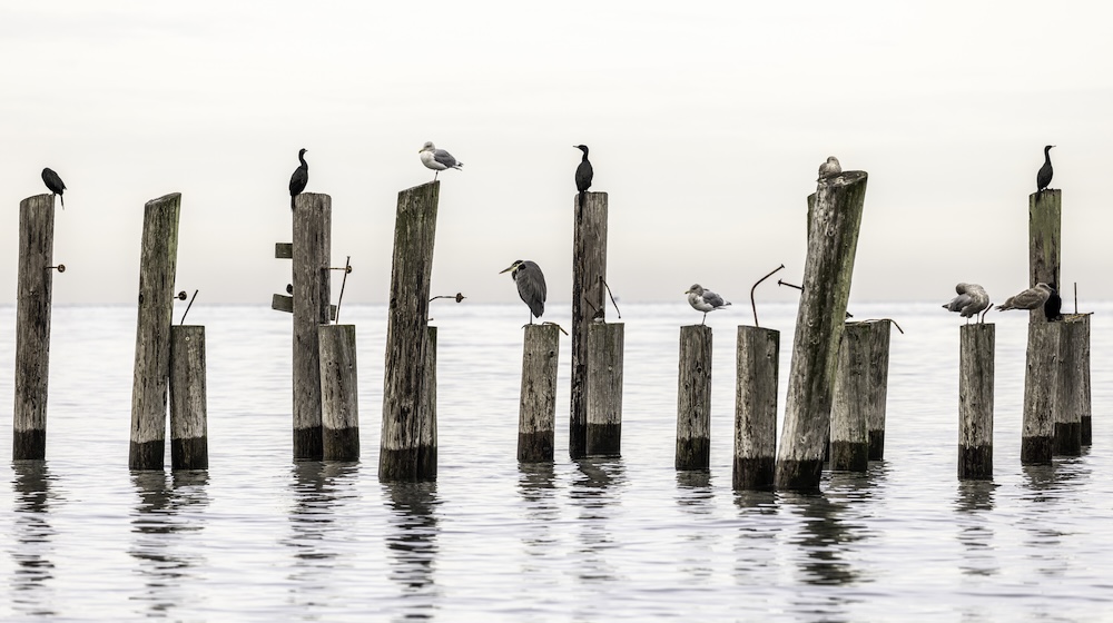 A Guide to Marketo Migrations 02